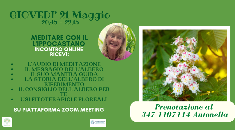 21 Maggio ore 20.45 Alberi custodi di Luce, meditare con l'ippocastano bianco - NATUROPATA LIFE COACH ANTONELLA ANCESCHI - CARPI - MODENA - REGGIO - CONSULENZE ONLINE 