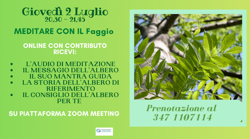 Alberi custodi di Luce: meditare con il Faggio 02/07/2026 Online - NATUROPATA LIFE COACH ANTONELLA ANCESCHI - CARPI - MODENA - REGGIO - CONSULENZE ONLINE 